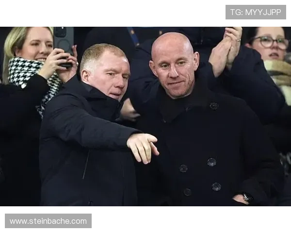 费迪南德批斯科尔斯巴特利马越界